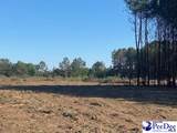 TBD Newberry Road - Photo 11