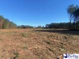 TBD Newberry Road - Photo 12