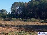 TBD Newberry Road - Photo 13