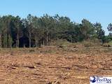 TBD Newberry Road - Photo 14