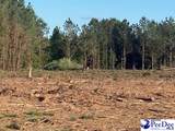 TBD Newberry Road - Photo 15