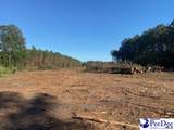 TBD Newberry Road - Photo 7
