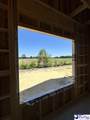 905 Ash St - Photo 9