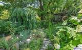 302 Cashua St - Photo 3