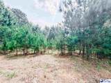 202 Meggs Island Road - Photo 1
