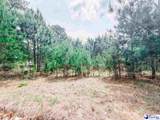202 Meggs Island Road - Photo 2