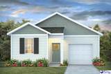 508 Fiddler Run Lane - Photo 1