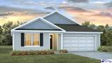 3304 Tulip Tree Lane - Photo 1