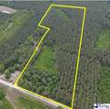 9214 Kingstree Hwy (Tract A) - Photo 1