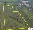 9214 Kingstree Hwy (Tract A) - Photo 3