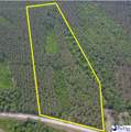 9214 Kingstree Hwy (Tract B) - Photo 1