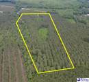 9214 Kingstree Hwy (Tract B) - Photo 2