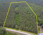 9214 Kingstree Hwy (Tract B) - Photo 3