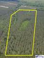 9214 Kingstree Hwy (Tract B) - Photo 4