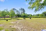 1705 Claremont Street - Photo 38