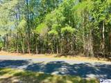  Grants Mill Rd West - Photo 17