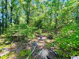  Grants Mill Rd West - Photo 6