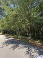 Lot#2 Hickory Grove - Photo 9