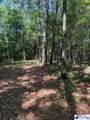 Lot#2 Hickory Grove - Photo 6