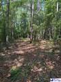 Lot#2 Hickory Grove - Photo 7