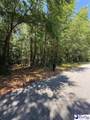Lot#2 Hickory Grove - Photo 8