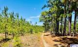  Jc Barefoot Rd - Photo 10