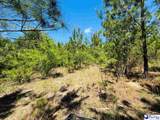 231 Jc Barefoot Rd - Photo 13