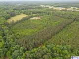 1490 Shiloh Acres Road - Photo 8