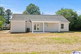 800 Tinkerbell Ln - Photo 38