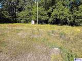 1135 Narrow Paved Rd - Photo 46