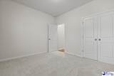 3833 Panther Path - Photo 26