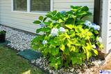 3833 Panther Path - Photo 32