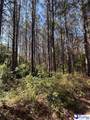 TBD River Neck Rd - Photo 21