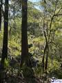 TBD River Neck Rd - Photo 22