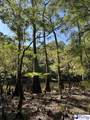 TBD River Neck Rd - Photo 23