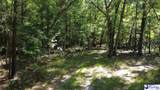 TBD River Neck Rd - Photo 38
