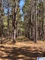 TBD River Neck Rd - Photo 46