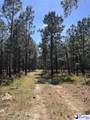 TBD River Neck Rd - Photo 47