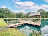 119 Springdale Drive - Photo 57