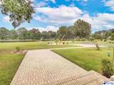 119 Springdale Drive - Photo 6