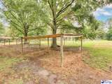119 Springdale Drive - Photo 66