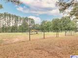 119 Springdale Drive - Photo 68