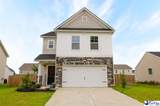 3812 Panther Path - Photo 1