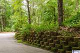 3218 Santee River Drive - Photo 4