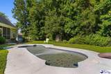 917 Rice Planters Lane - Photo 46