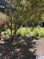 1109 Piano Rd - Photo 25