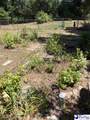 1109 Piano Rd - Photo 41