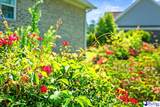 3402 Shadow Creek Drive - Photo 45