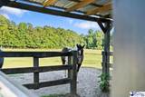 3370 Johnsonville Hwy - Photo 64