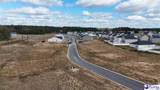 1188 Summer Duck Loop - Photo 48